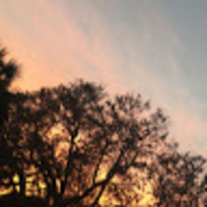 Meet your Posher, Carleigh